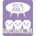 おとなの矯正